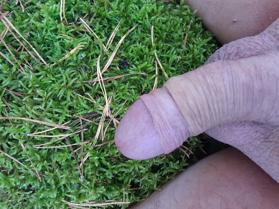 1000017512.jpg - bisukanatelefon