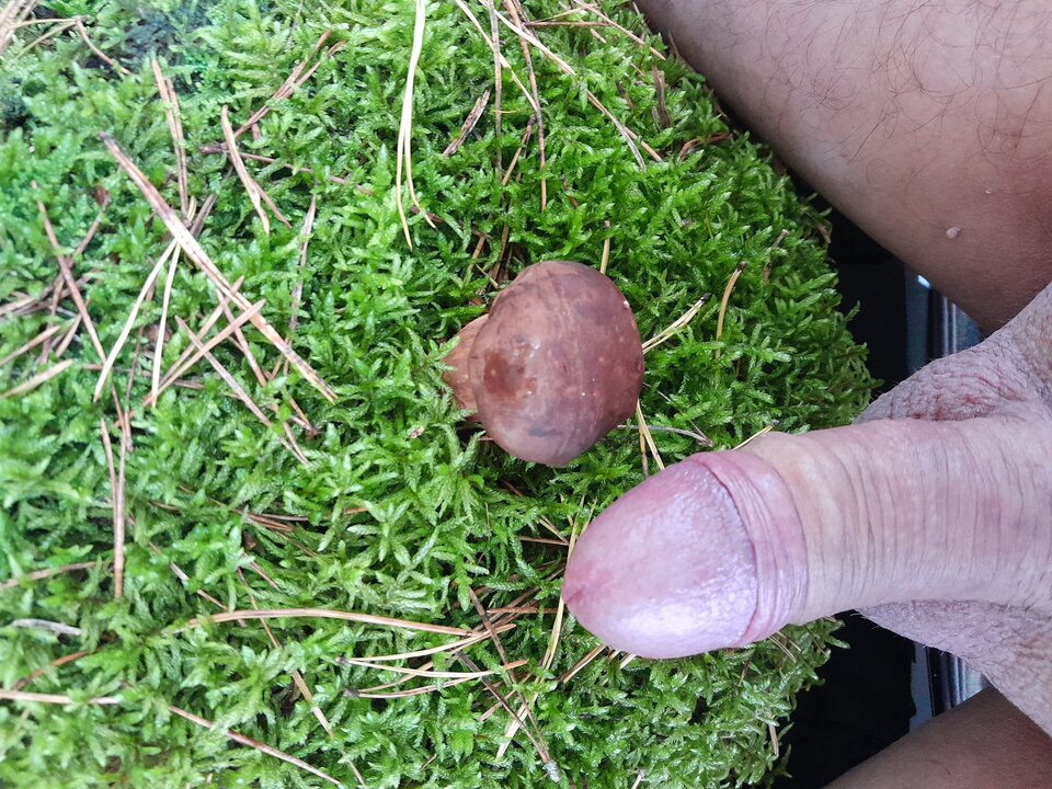 1000017524.jpg - bisukanatelefon