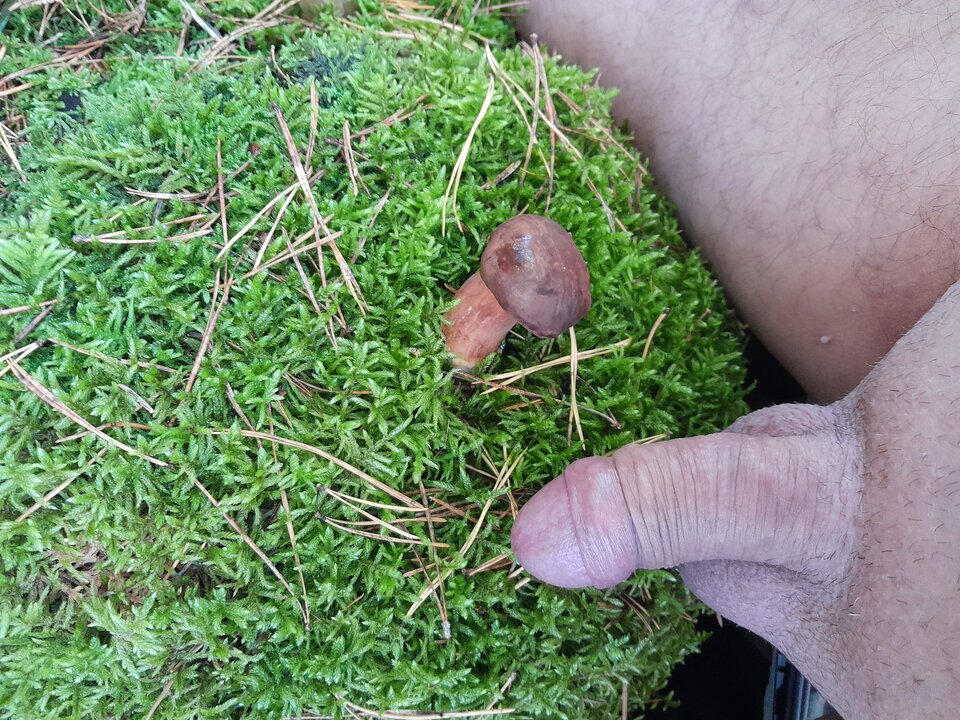 1000017522.jpg - bisukanatelefon