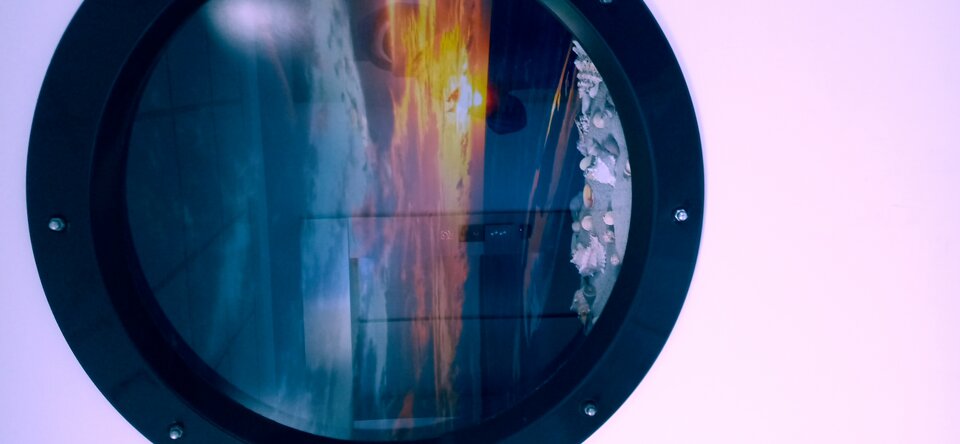 20250515_113007.jpg - Pewny4