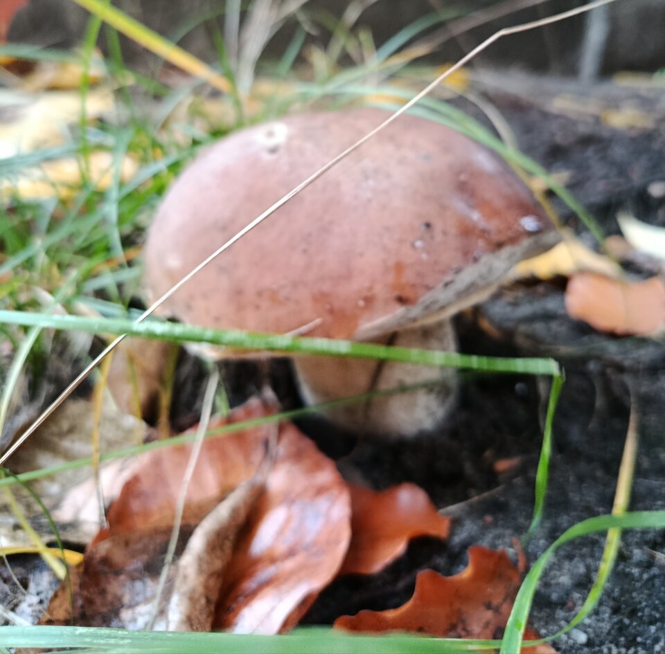 1000001782.jpg - _JaG76_