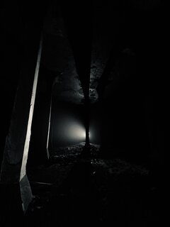 IMG_8514.jpeg