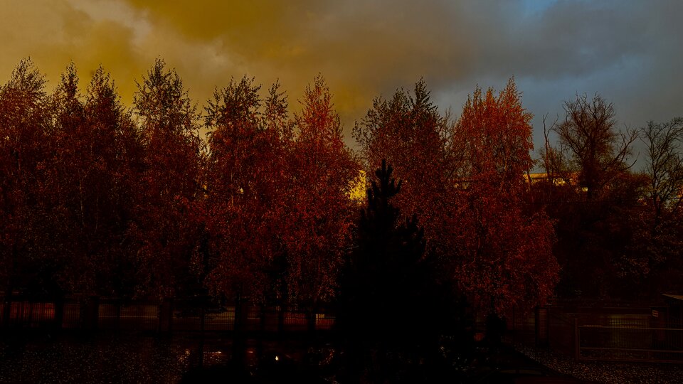 Popołudnie.jpeg - Sexoludy