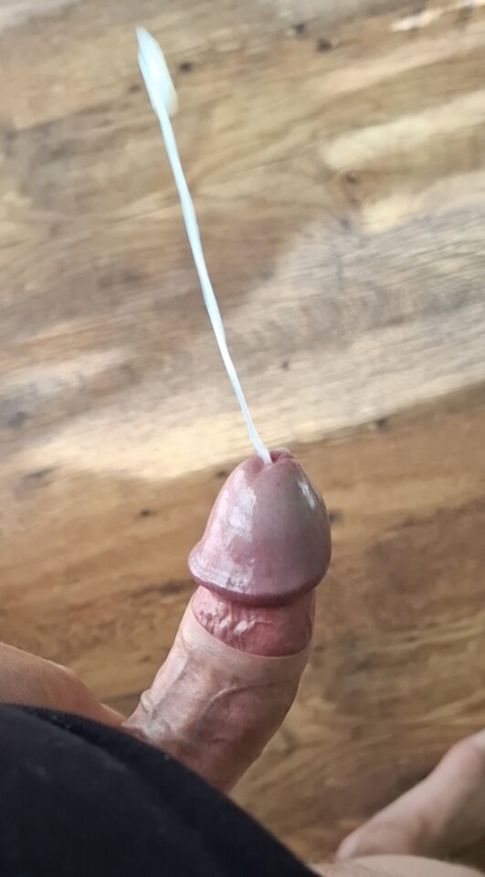 1000025730.jpg - Kamil44wp