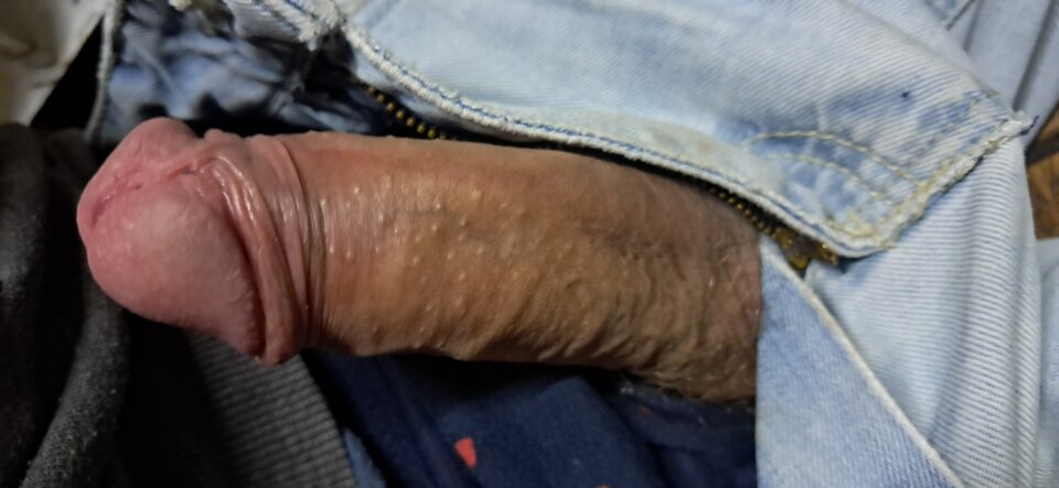 1000007440.jpg - Motyl8888