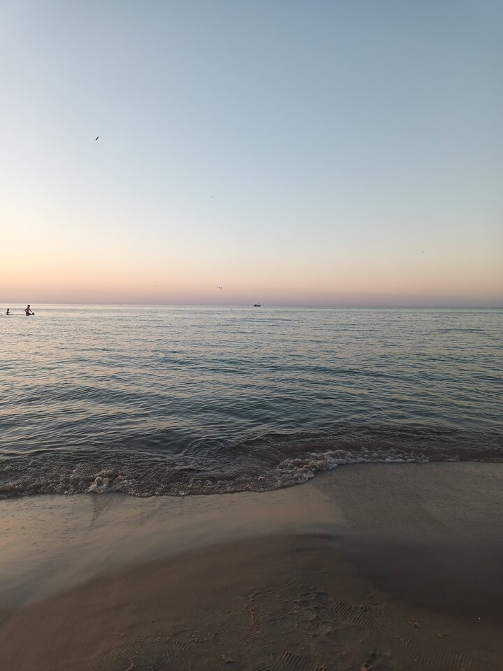 20250702_211312.jpg - Rotax1980