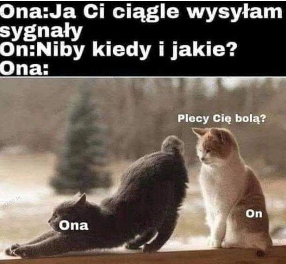 1000025485.jpg - Operator_odkurzacza