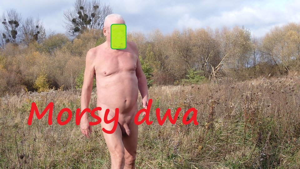 Ostatki październikowe. - Morsy_dwa