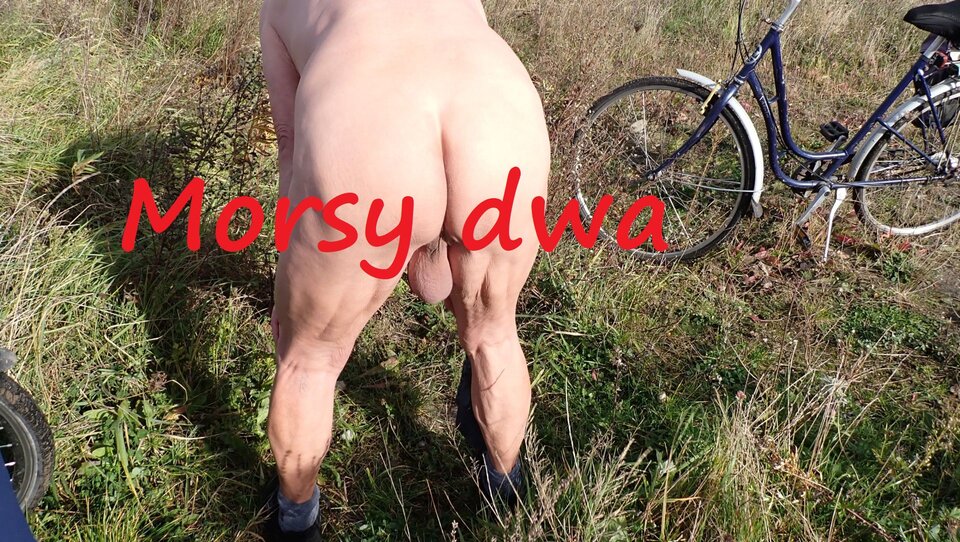 Ostatki październikowe. - Morsy_dwa