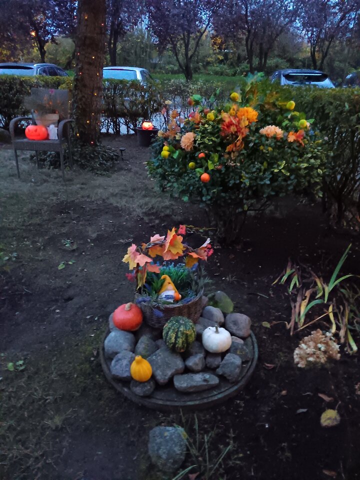 20251031_165213.jpg - WESOLAWDOWKA