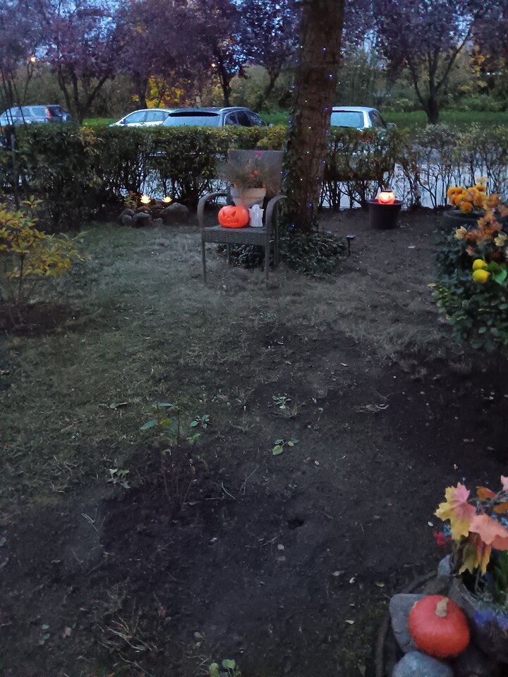 20251031_165223.jpg - WESOLAWDOWKA