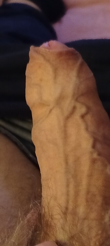 1000003335.jpg - XMiko77