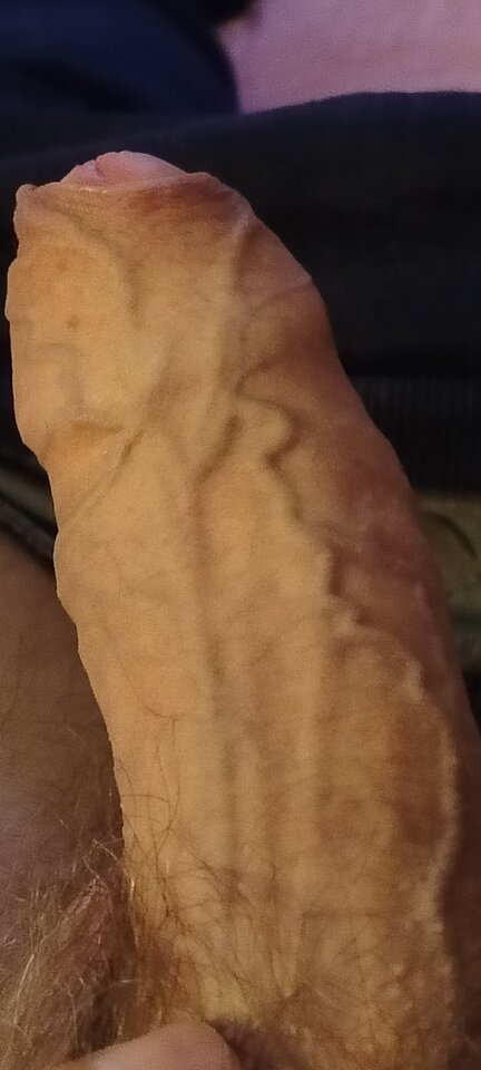 1000003336.jpg - XMiko77