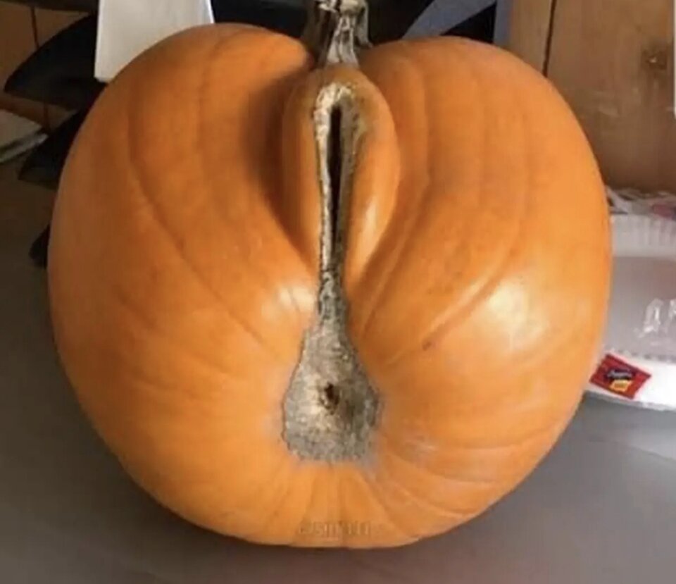 Co proponujecie zjeść czy ?? - Marynarz899