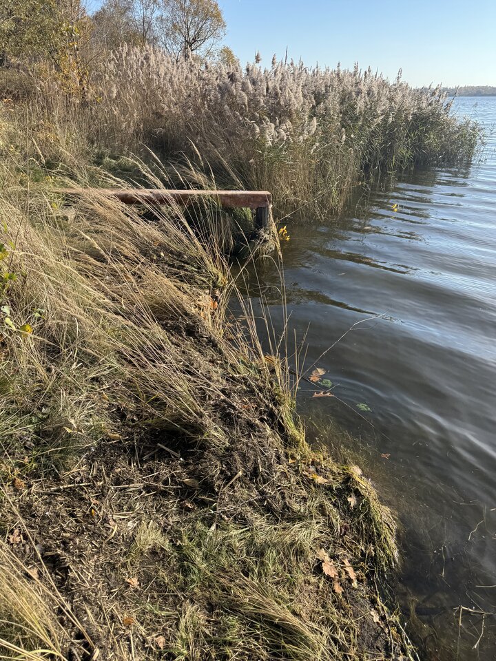 IMG_2854.jpeg - parazabrze69