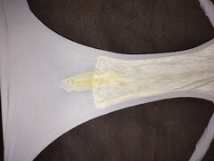 IMG_20251101_144543250.jpg