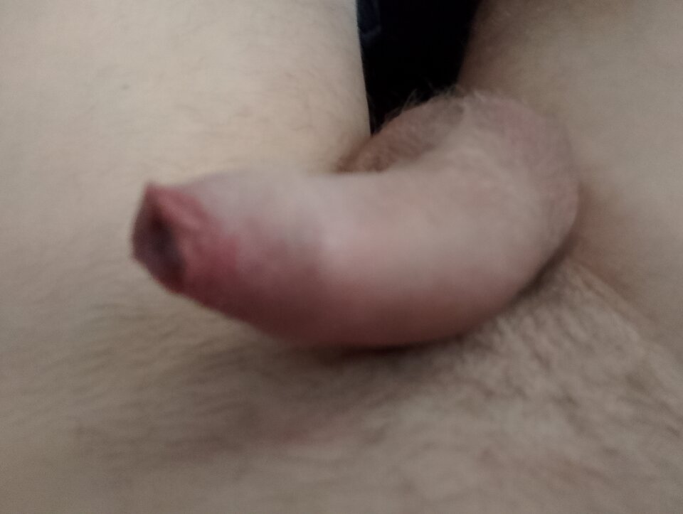 1000005841.jpg - BajtelBajtel