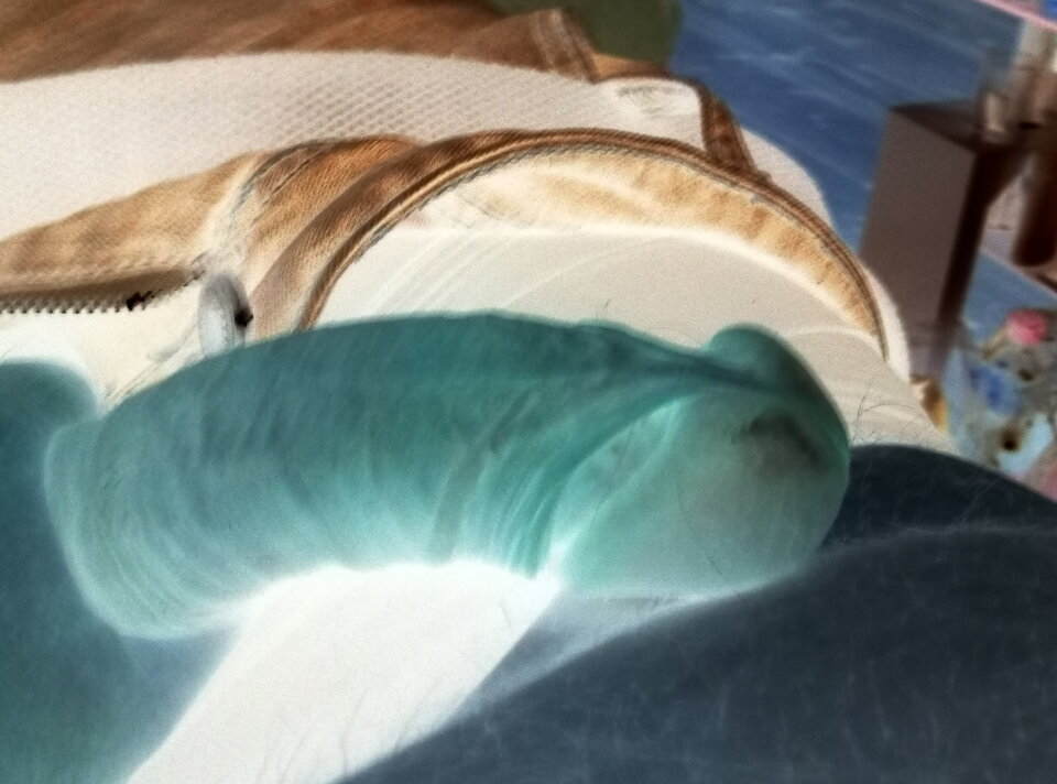 1000004179.jpg - Dennyq