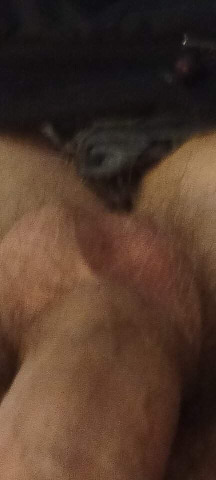 1000003345.jpg - XMiko77