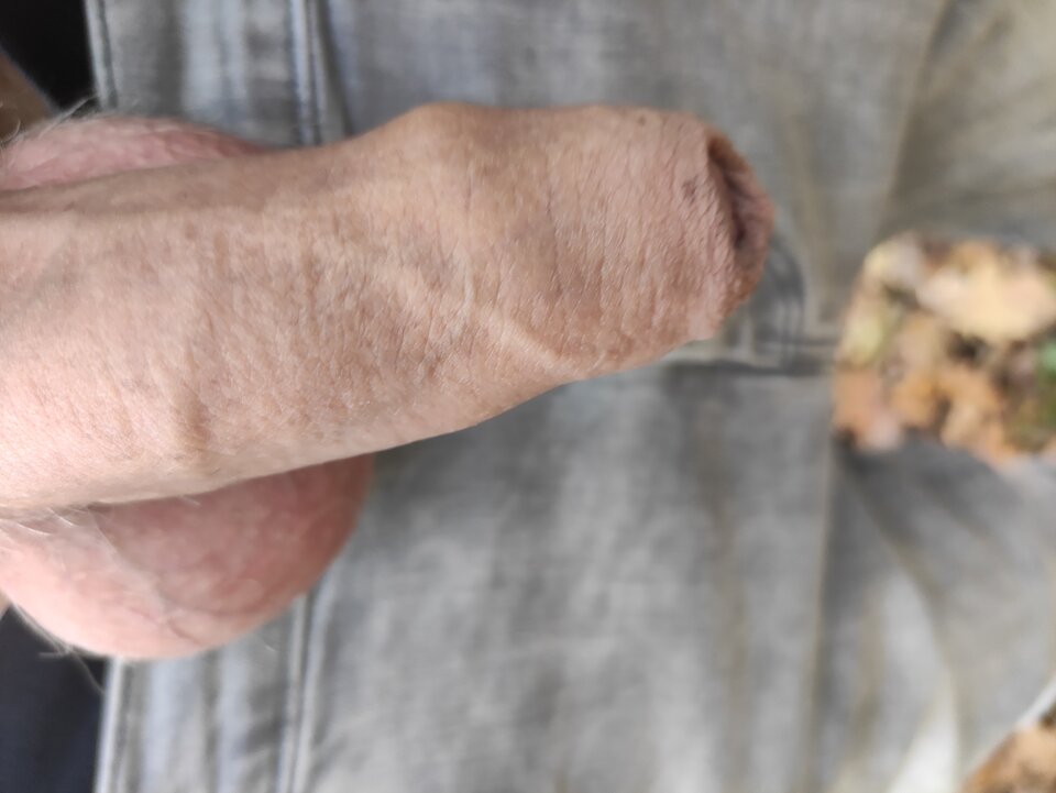 IMG_20251101_152458.jpg - Adamadam1978