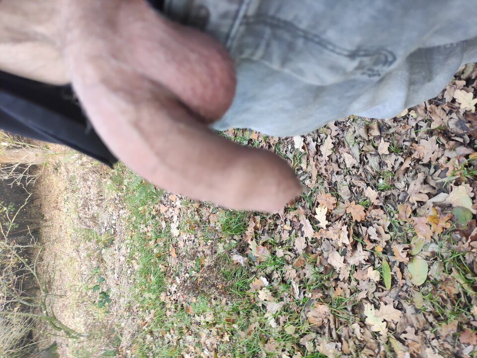 IMG_20251101_152506.jpg - Adamadam1978