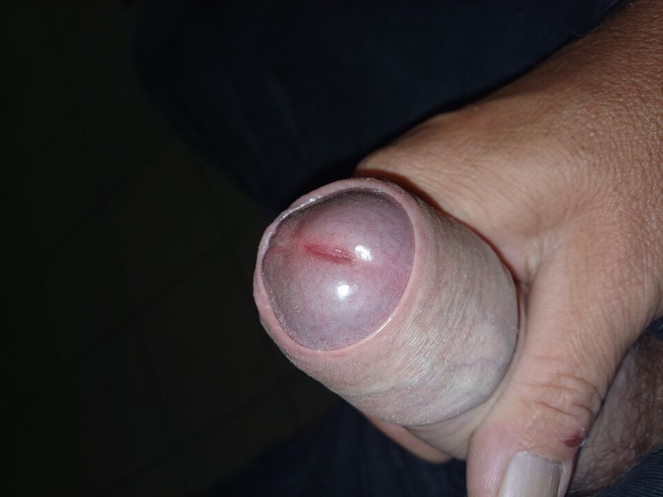 1000012521.jpg - andzik974