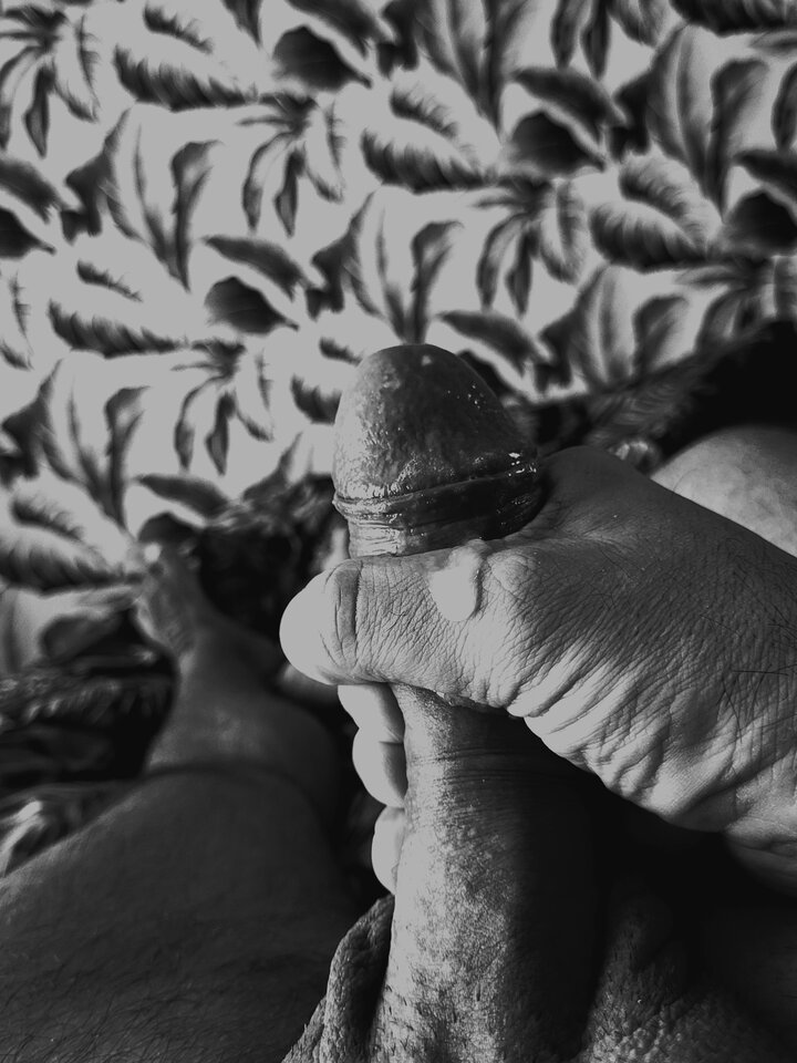 1000092979.jpg - BELTOR