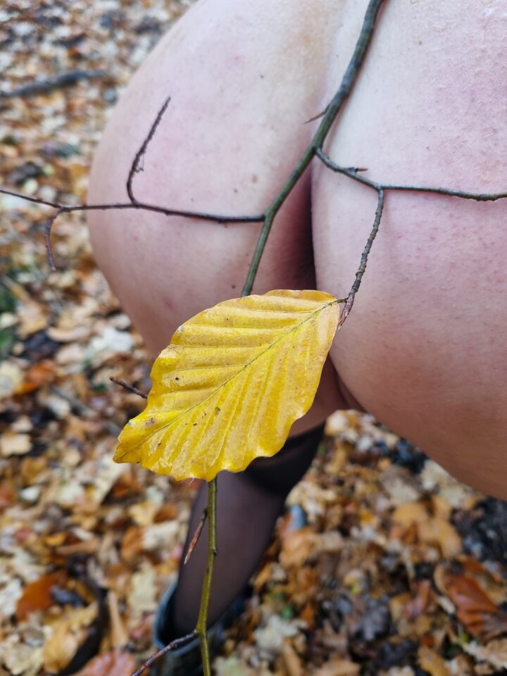 1000075161.jpg - Sprubujemy2