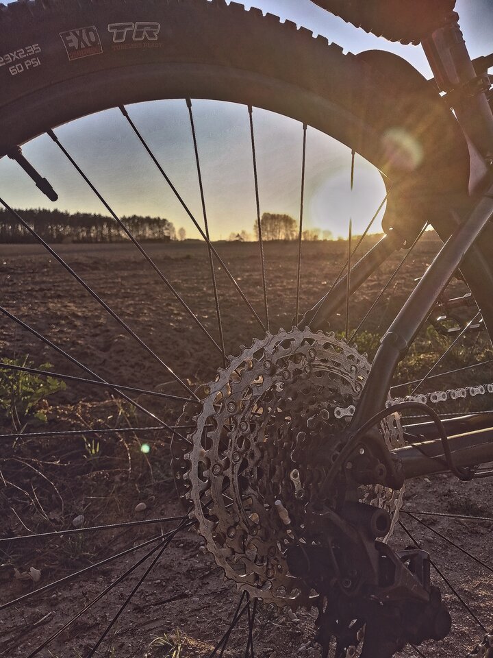 1000005859.jpg - toxic_introvert