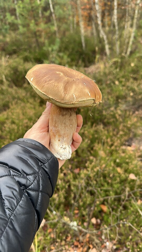 E75DBE49-71D3-4F5E-8956-42771570DDC3.jpeg - Pani2022