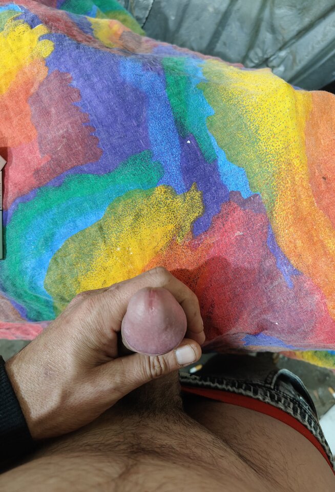 1000003476.jpg - Marcinek901603