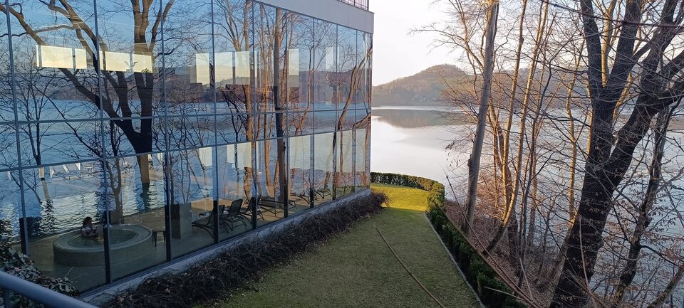 1000015067.jpg - Bull_Masters