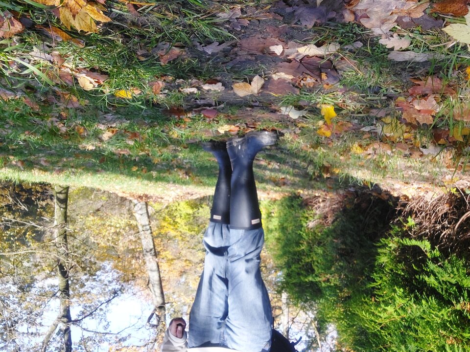 20251031_122241.jpg - Rubber_gloves