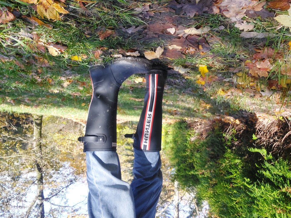 20251031_122236.jpg - Rubber_gloves