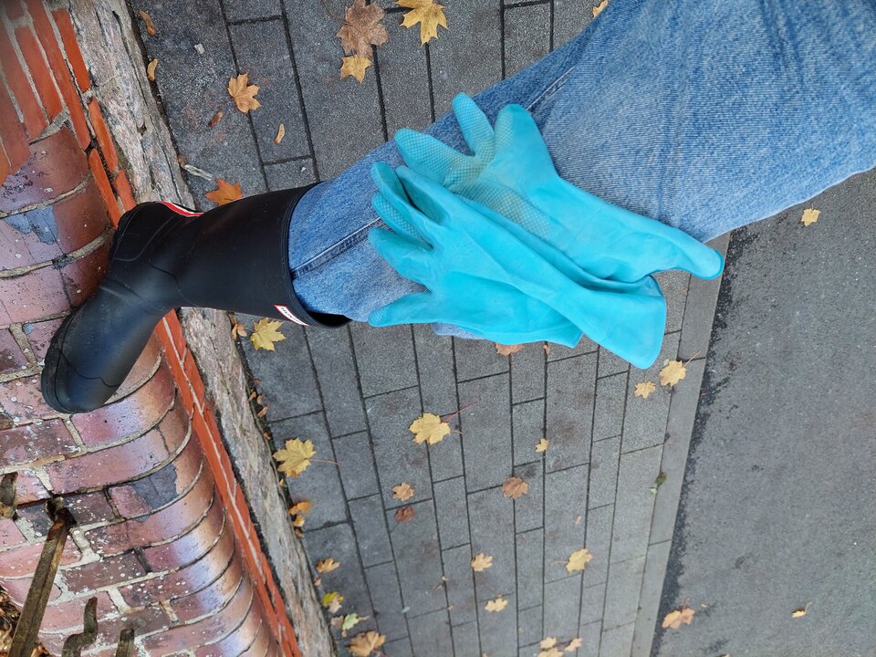 20251031_132535.jpg - Rubber_gloves