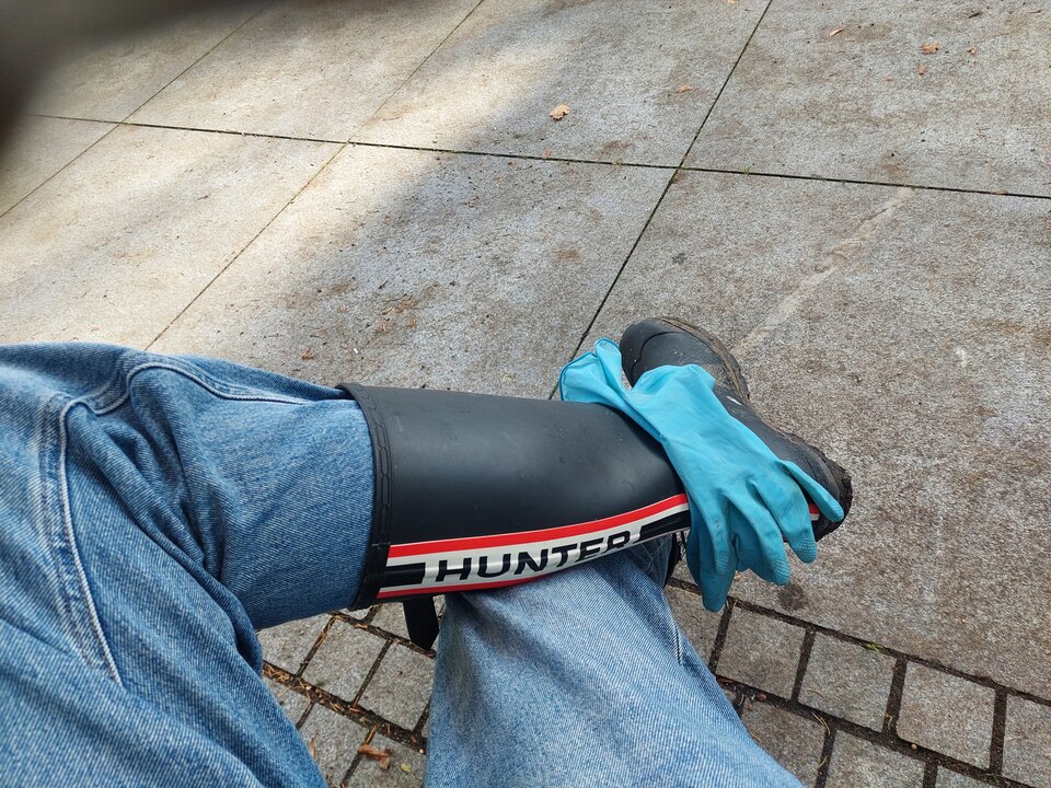20251031_114715.jpg - Rubber_gloves