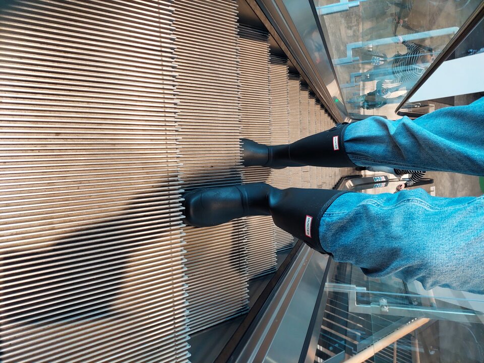 20251031_141223.jpg - Rubber_gloves
