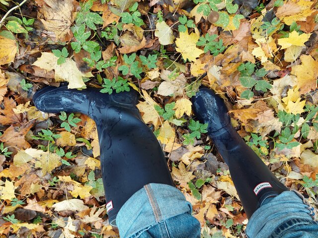Rubber_gloves