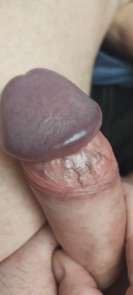 IMG_20251031_222438.jpg - Pio20980