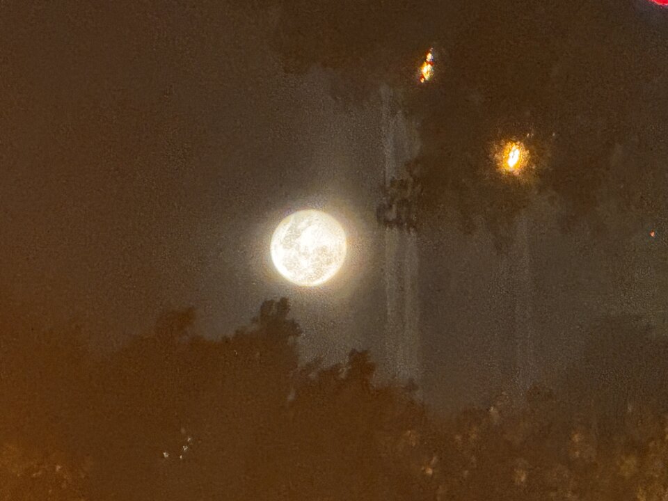 IMG_7358.jpeg - parakrk77