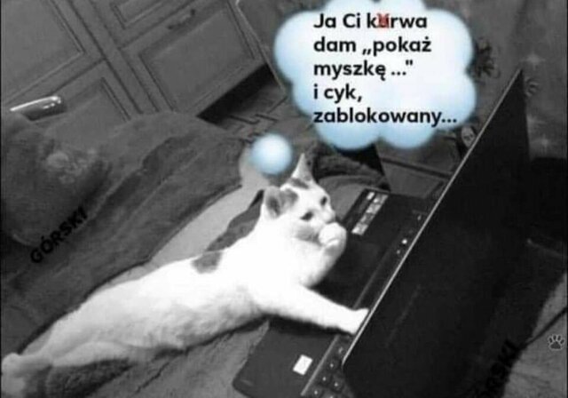 20latnazbiorniku