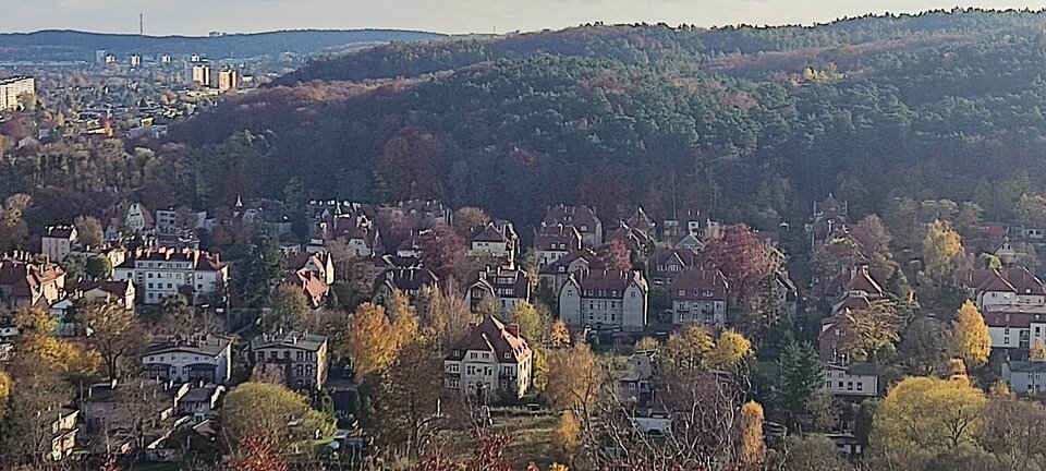 IMG_20251103_134522.jpg - edytkaandrzej