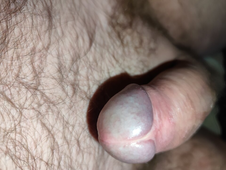 1000001895.jpg - RPGfan