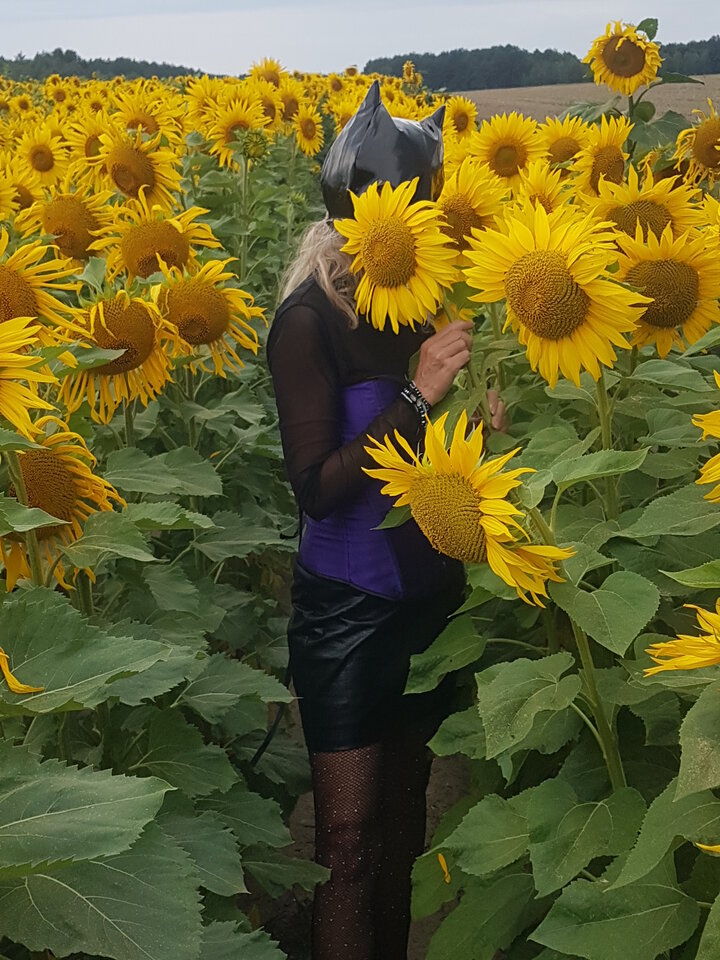 suczy kociak.jpg - SukazPanem48