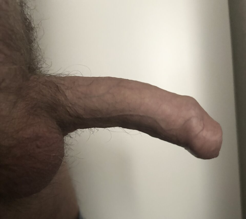 IMG_2281.jpeg - Tulipan1983