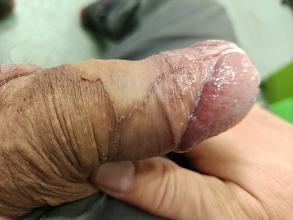 1000004515.jpg - Tributte68