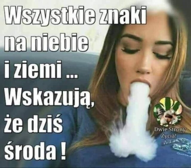 Trzeba świętować - norauto00