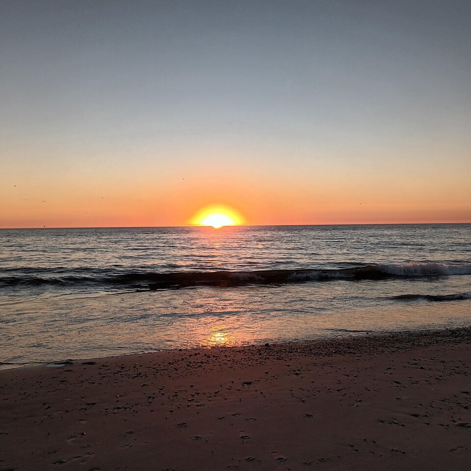 7248ef05-8278-4004-999a-19f792567020-1_all_482.jpg - Voksen