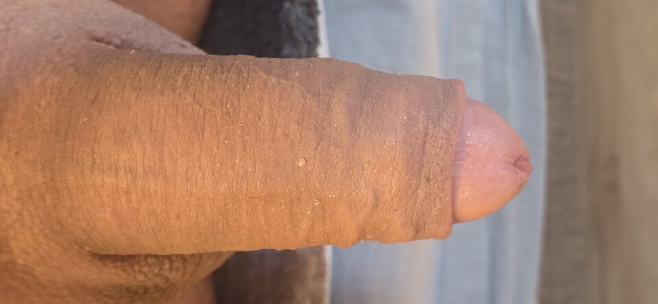 20251106_081037.jpg - michalmak76