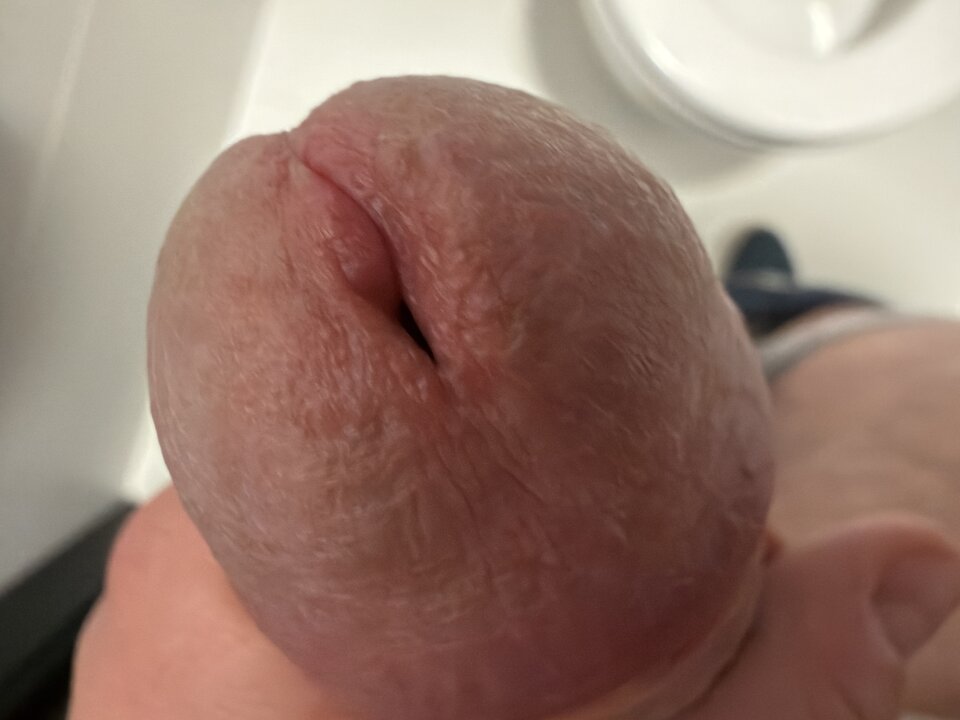 image.jpg - lordnorbi